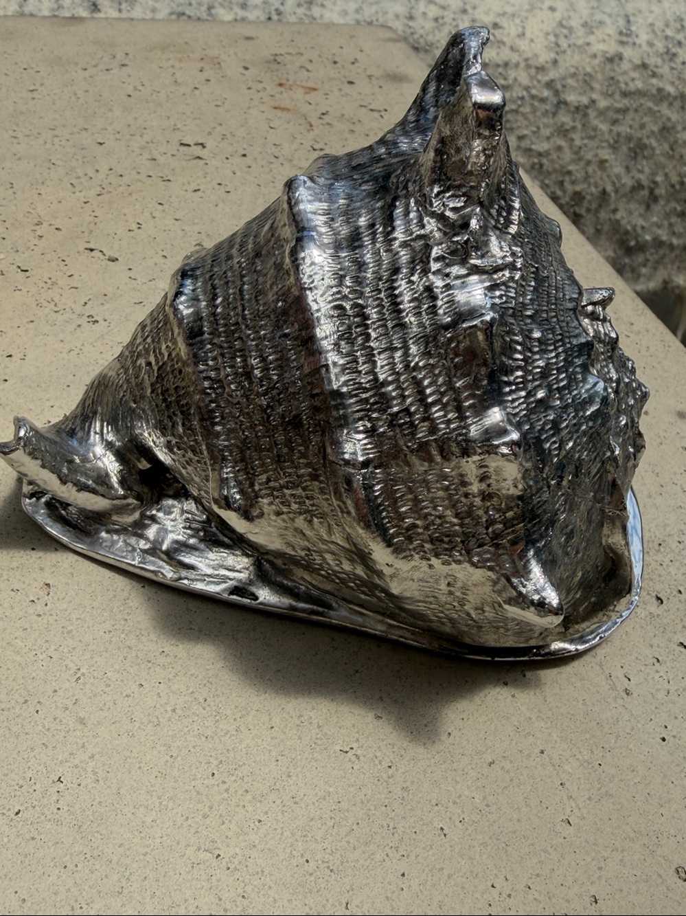 Silver Shell Sculpture cassis Decorative Accent